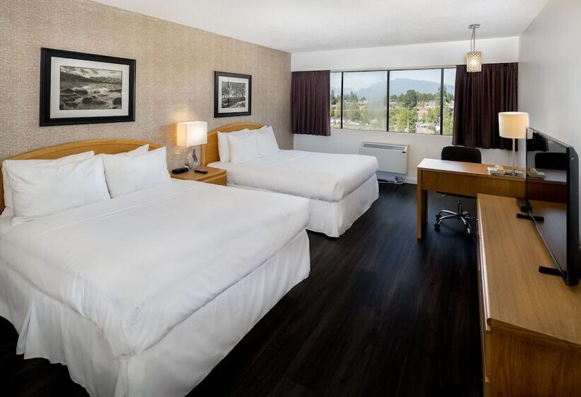 高级大房间, Cassandra