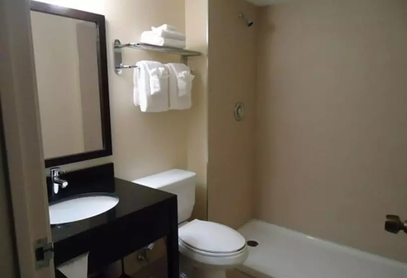 ２ダブルベッドのスタンダードルーム, Comfort Inn