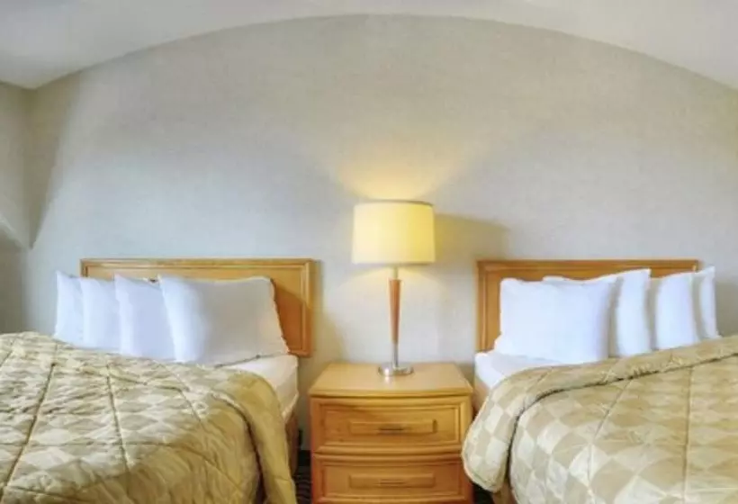 ２ダブルベッドのスタンダードルーム, Comfort Inn