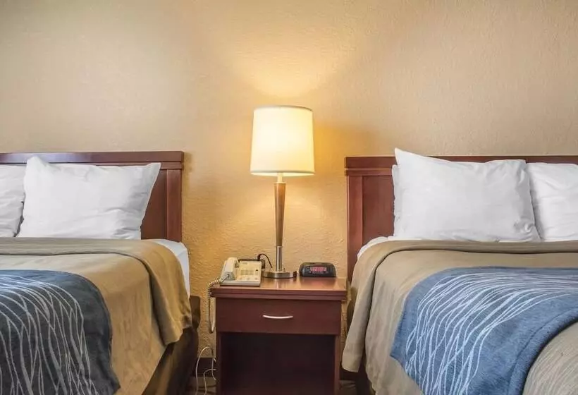 ２ダブルベッドのスタンダードルーム, Comfort Inn
