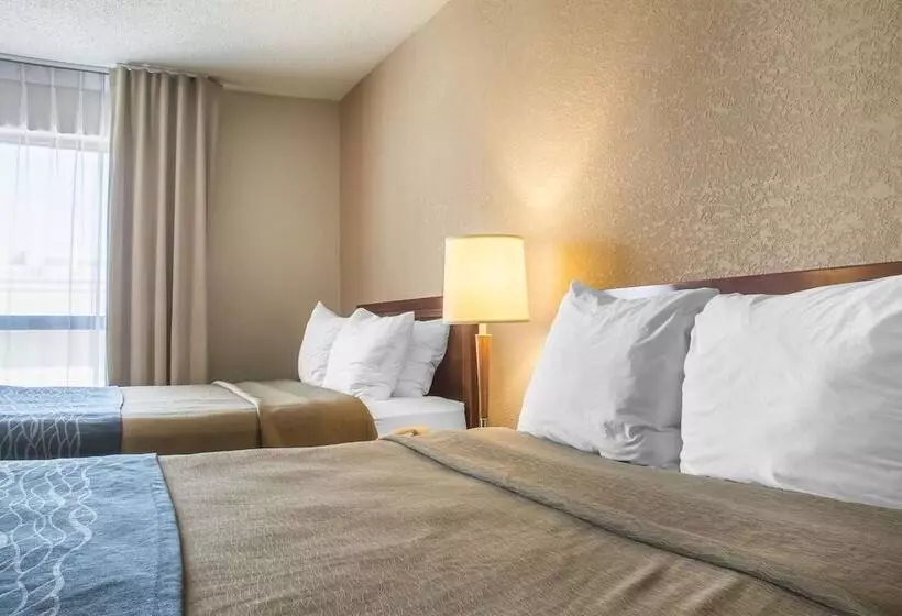 ２ダブルベッドのスタンダードルーム, Comfort Inn