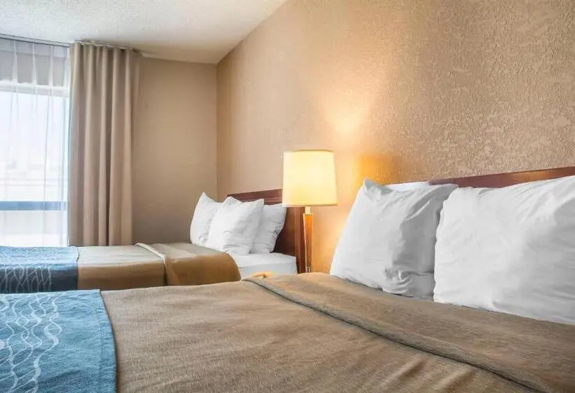 ２ダブルベッドのスタンダードルーム, Comfort Inn