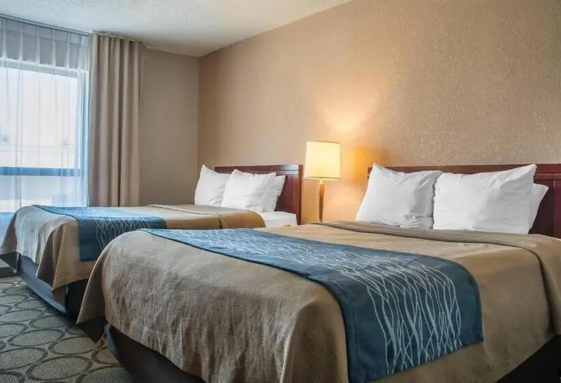 ２ダブルベッドのスタンダードルーム, Comfort Inn