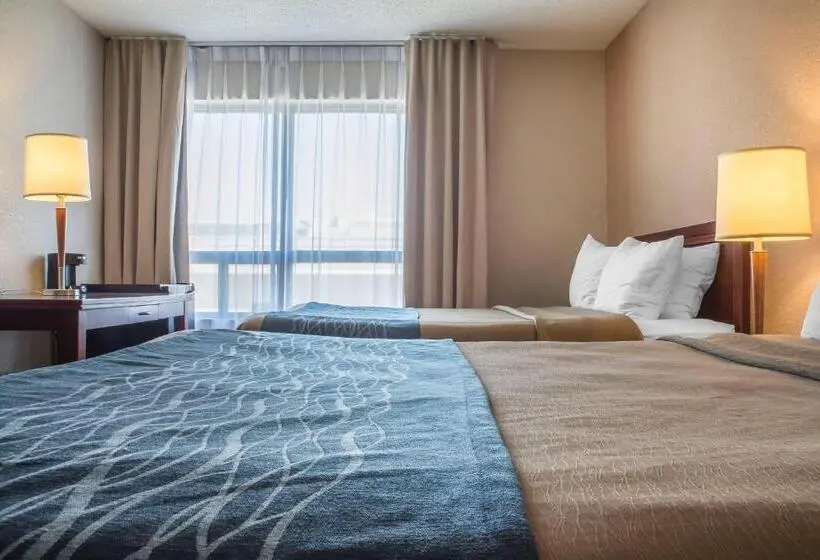 ２ダブルベッドのスタンダードルーム, Comfort Inn
