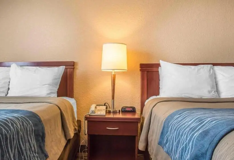 ２ダブルベッドのスタンダードルーム, Comfort Inn
