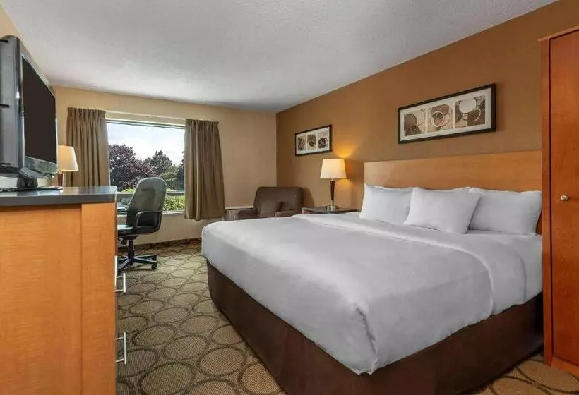 اتاق استاندارد با تخت بزرگ, Comfort Inn Magnetic Hill