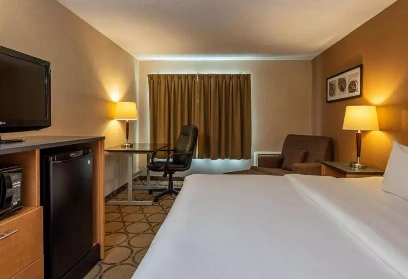 اتاق استاندارد, Comfort Inn Magnetic Hill