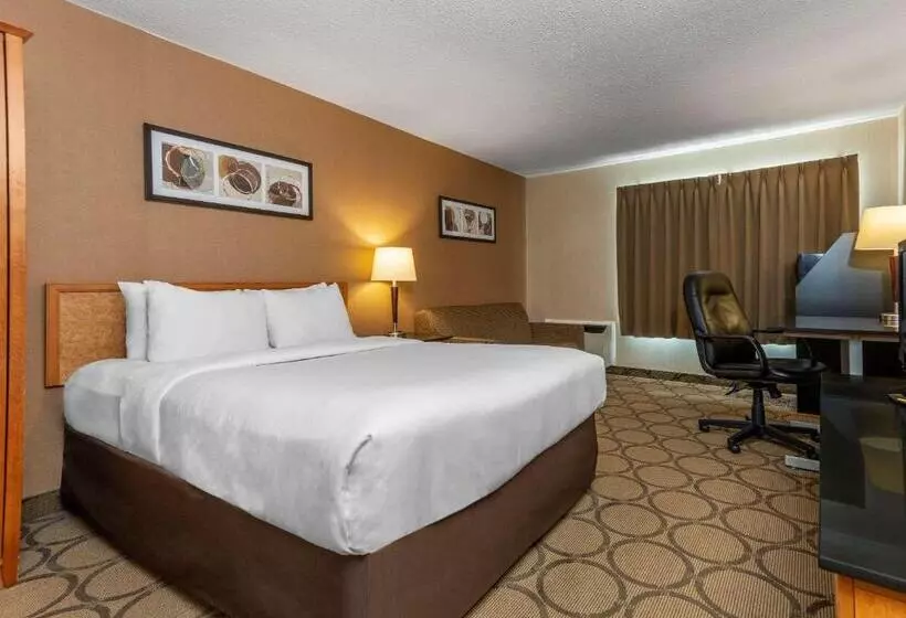 اتاق استاندارد, Comfort Inn Magnetic Hill