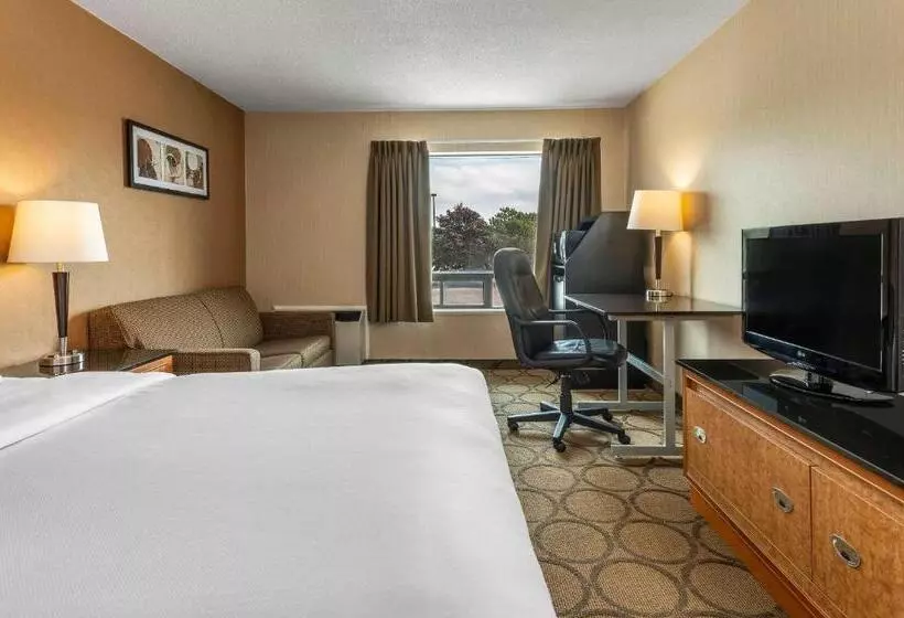 اتاق استاندارد, Comfort Inn Magnetic Hill