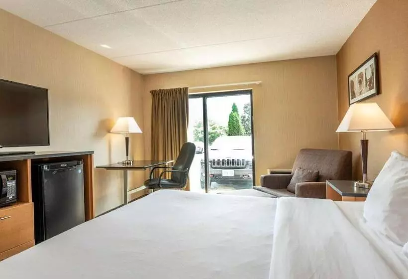 اتاق استاندارد در طبقه همکف, Comfort Inn Magnetic Hill