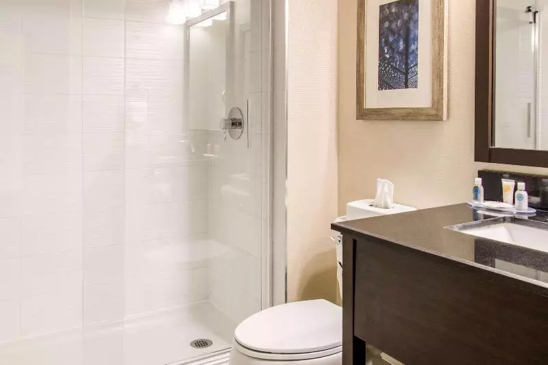 اتاق استاندارد با تخت بزرگ, Comfort Inn Montreal Aeroport