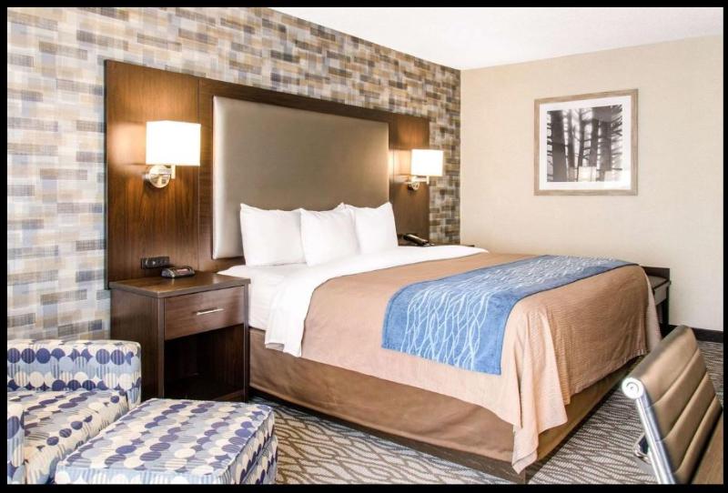 带大床的标准间, Comfort Inn Montreal Aeroport