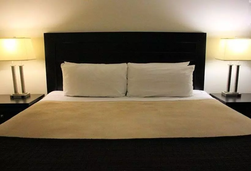 Suite Superior, Coronet