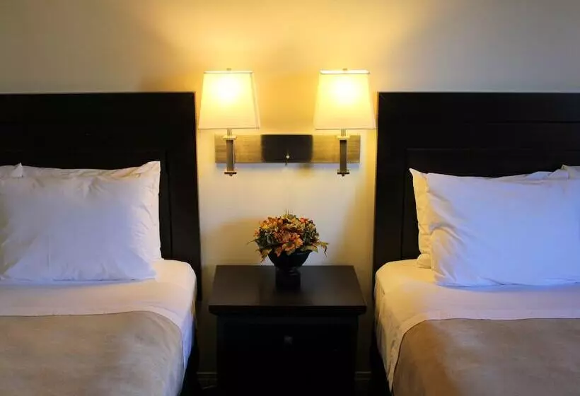 Suite Superior, Coronet