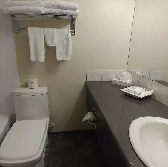 １ベッドルームのデラックスアパートメント, Divya Sutra Plaza And Conference Centre, Vernon, Bc