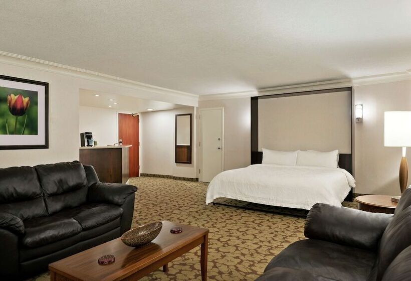 Suíte Deluxe, Hilton Garden Inn Saskatoon Downtown