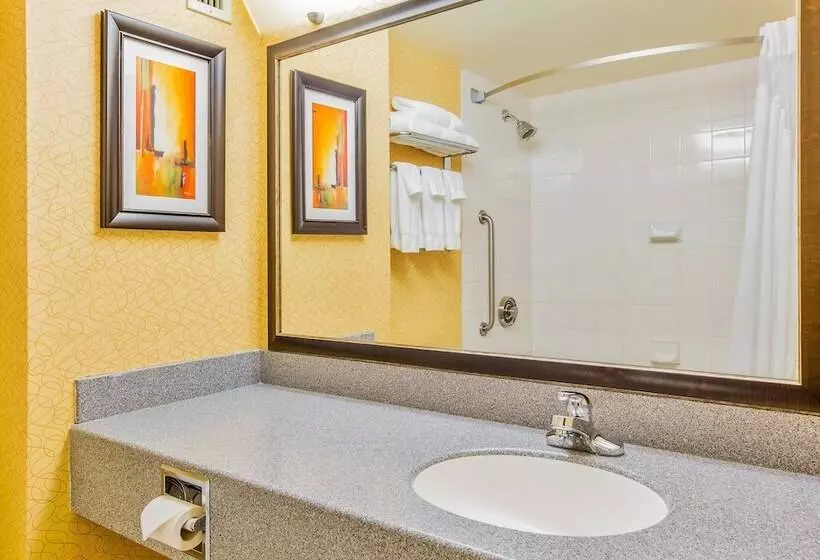 Premium-huone, Holiday Inn Sydney Waterfront By Ihg