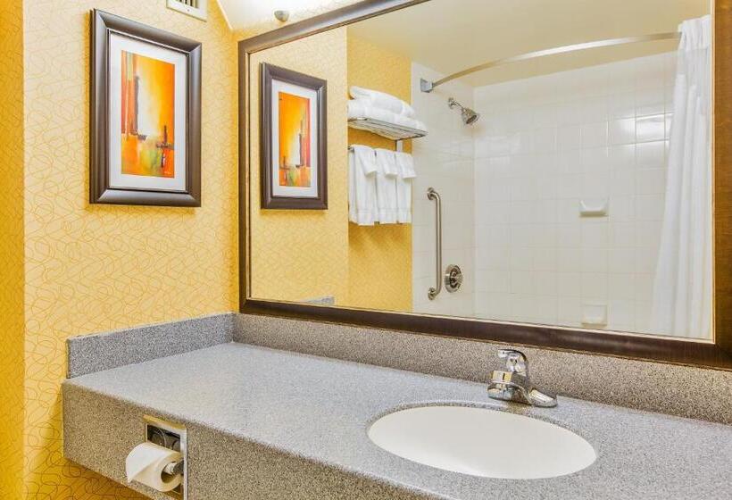 חדר סטנדרט, Holiday Inn Sydney   Waterfront, An Ihg