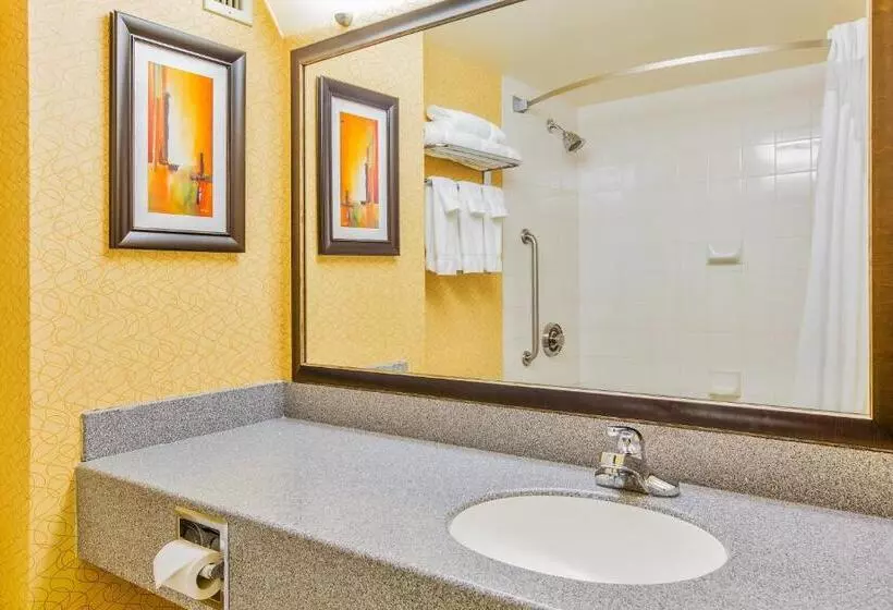 اتاق استاندارد با تخت بزرگ, Holiday Inn Sydney   Waterfront, An Ihg