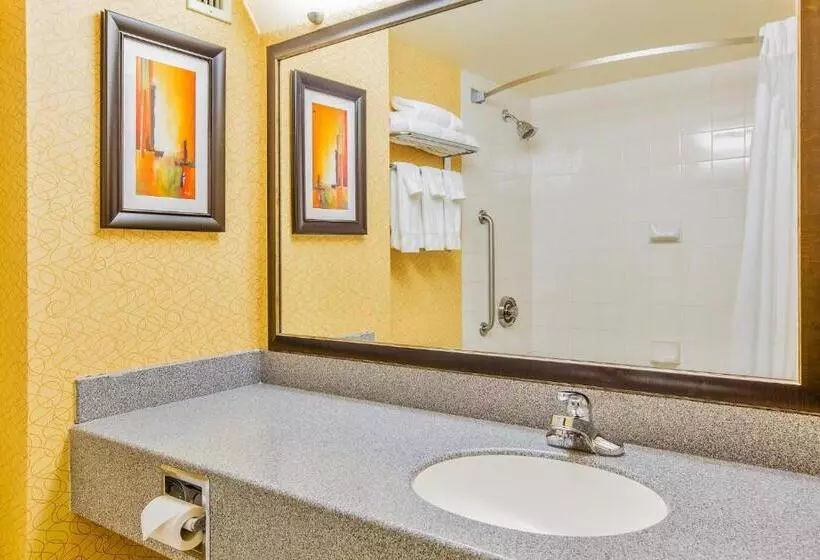اتاق اجرایی با تخت بزرگ, Holiday Inn Sydney   Waterfront, An Ihg