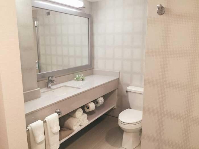 غرفة قياسية سرير كينج, Holiday Inn Winnipeg   Airport West, An Ihg