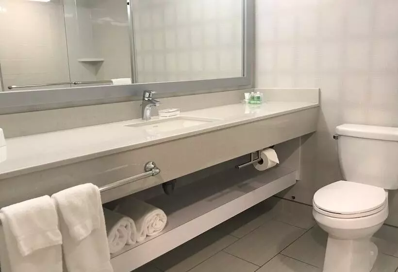 اتاق استاندارد, Holiday Inn Winnipeg   Airport West, An Ihg