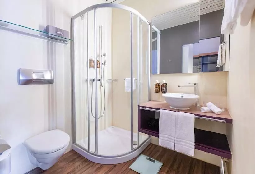 Basic-huone, Parkhotel Brenscino Brissago