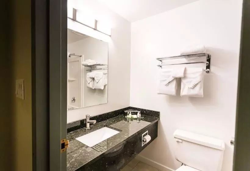 スイート, Prestige Hudson Bay Lodge & Conference Centre, Worldhotels Crafted Collection