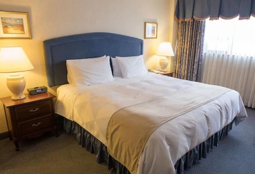 اتاق پرمیوم, The Roehampton