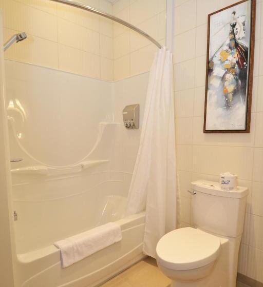 غرفة سوبيريور, Universel, Centre De Congres Riviereduloup