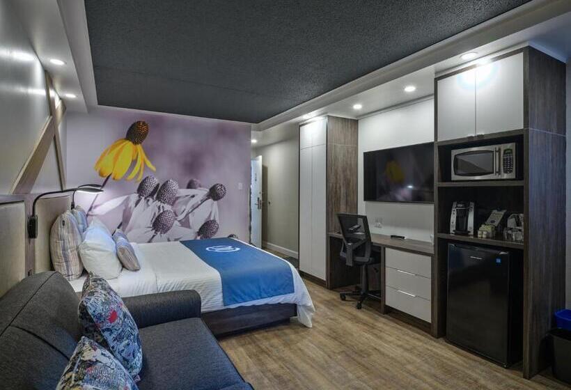 غرفة كلاسيكية سرير كينج, Universel, Centre De Congres Riviereduloup