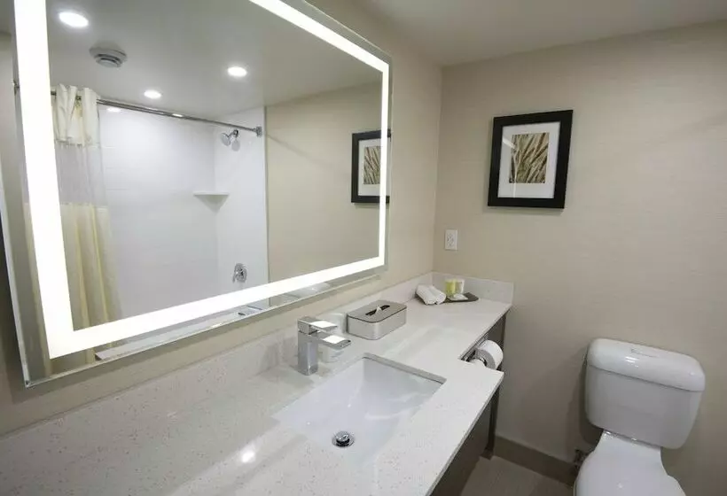اتاق کلاس بیزنس, Victoria Inn Hotel And Convention Center Winnipeg