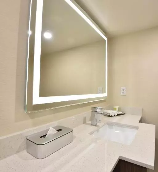 اتاق لوکس, Victoria Inn Hotel And Convention Center Winnipeg