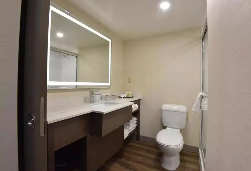 اتاق لوکس, Victoria Inn Hotel And Convention Center Winnipeg
