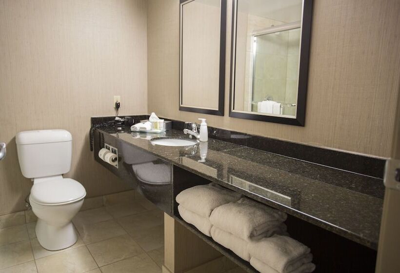 جناح جونيور, Superior Inn Hotel And Conference Centre Thunder Bay