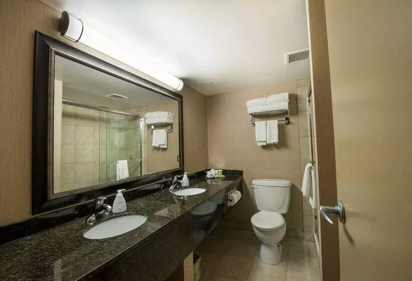 سوییت جونیور, Superior Inn Hotel And Conference Centre Thunder Bay