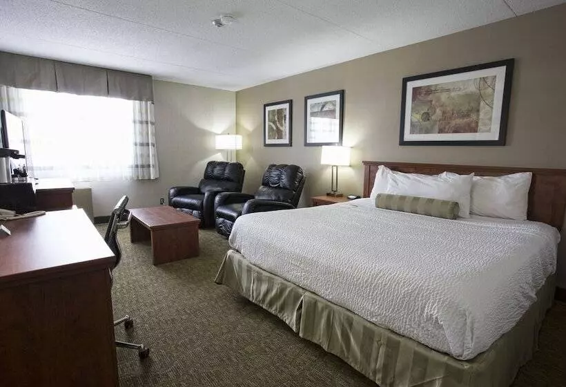 سوییت جونیور, Superior Inn Hotel And Conference Centre Thunder Bay