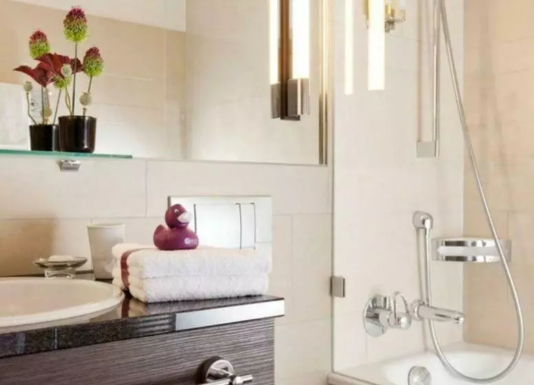 اتاق لوکس, Ameron Luzern Hotel Flora
