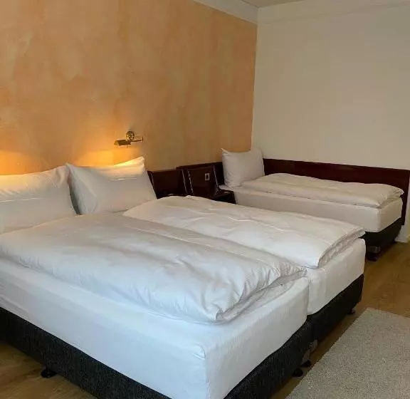 スタンダードトリプルルーム, Boutique City Hotel Gallo