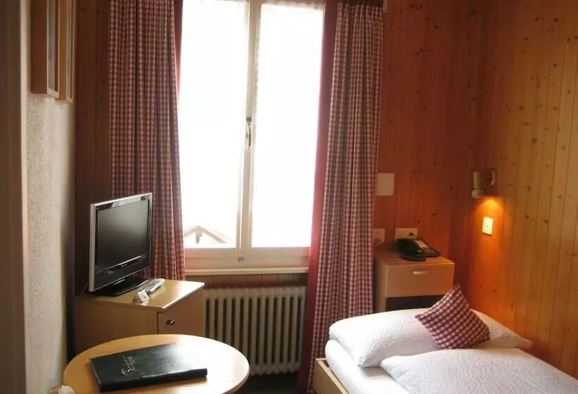 Standardeinzelzimmer, Bernerhof Grindelwald
