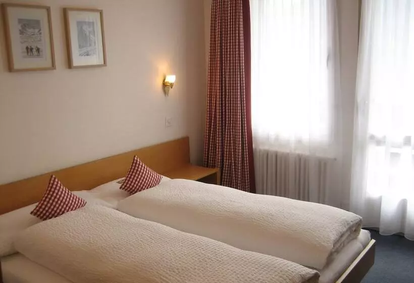 Standardzimmer Bergblick, Bernerhof Grindelwald
