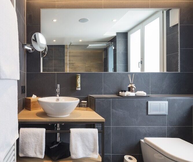 سوییت, Fred Hotel Leonhardstrasse Self Check In