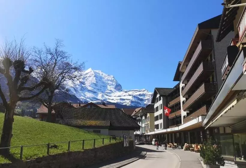 اتاق استاندارد یک نفره, Swiss Lodge Hotel Bernerhof Wengen