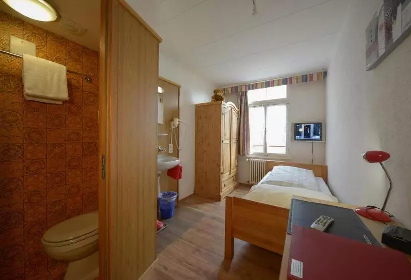 اتاق استاندارد یک نفره, Swiss Lodge Hotel Bernerhof Wengen