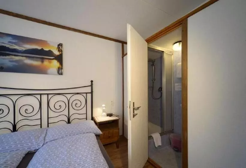 اتاق استاندارد, Swiss Lodge Hotel Bernerhof Wengen