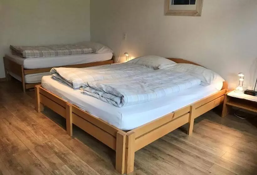 اتاق استاندارد سه نفره, Swiss Lodge Hotel Bernerhof Wengen