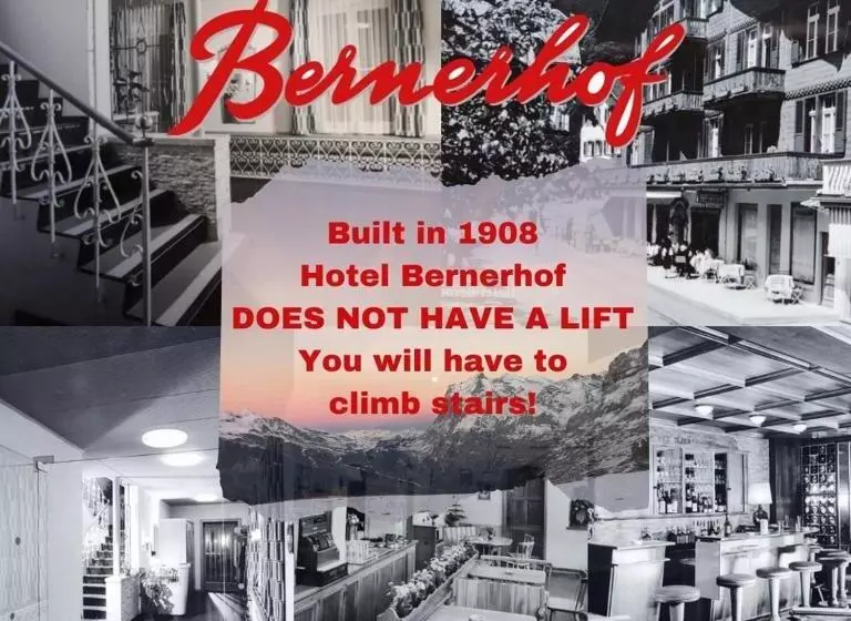 اتاق استاندارد با سرویس بهداشتی مشترک, Swiss Lodge Hotel Bernerhof Wengen