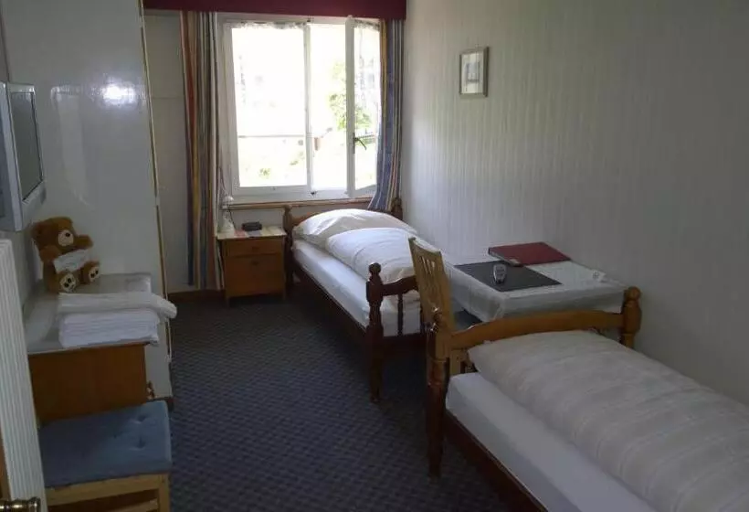 اتاق استاندارد با سرویس بهداشتی مشترک, Swiss Lodge Hotel Bernerhof Wengen