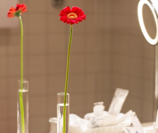 اتاق راحتی, Grand Hotel Beau Rivage Interlaken