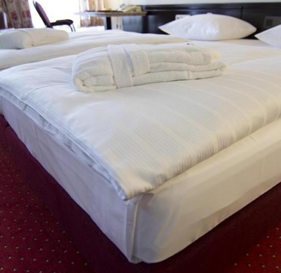 컴포트 룸, Sachsenwald Hotel Reinbek